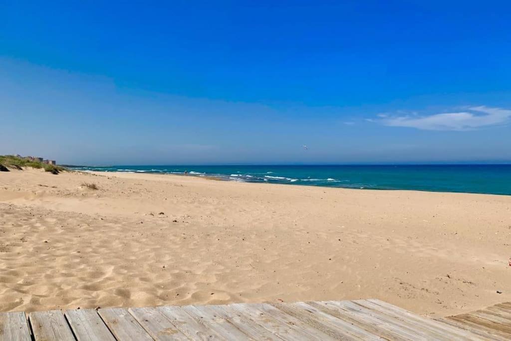 Azul Beach By La Mata Beach Торевьиа Экстерьер фото